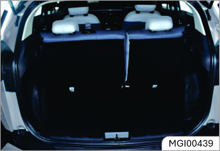 mg-windsor